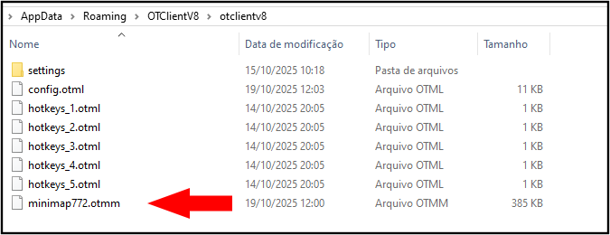 Passo 4: Colar o arquivo